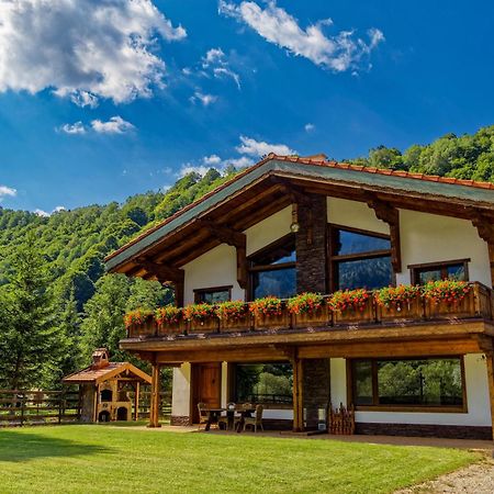 Avalanche Plaiul Foii Villa Zarnesti Exterior photo