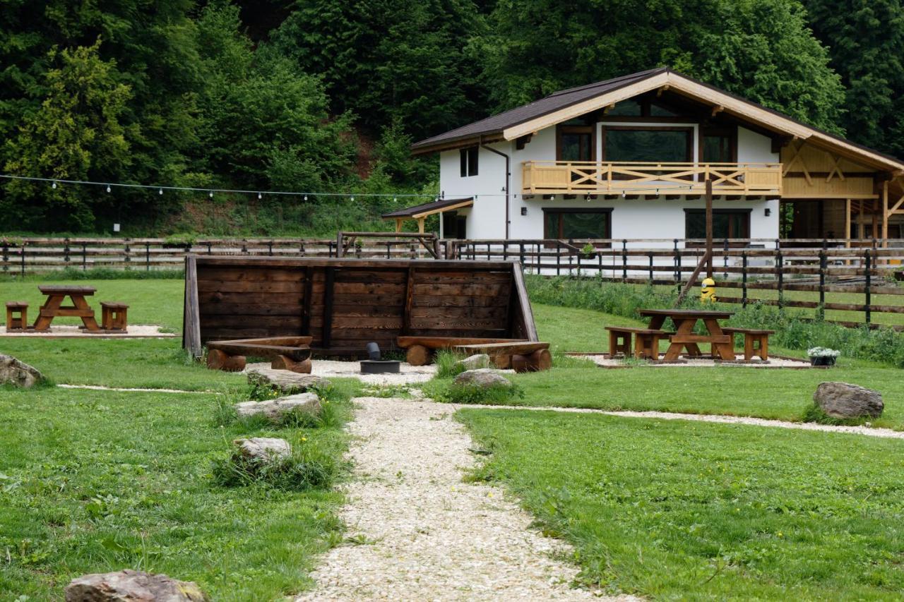 Avalanche Plaiul Foii Villa Zarnesti Exterior photo